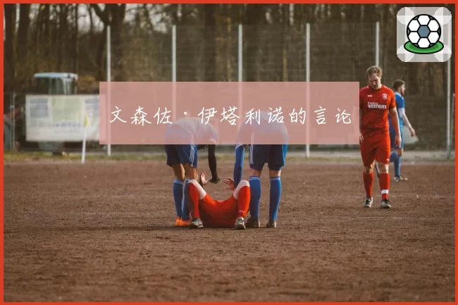 文森佐·伊塔利诺的言论