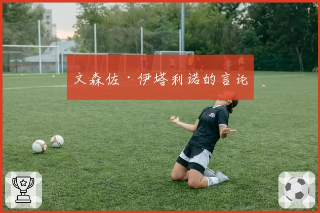 文森佐·伊塔利诺的言论