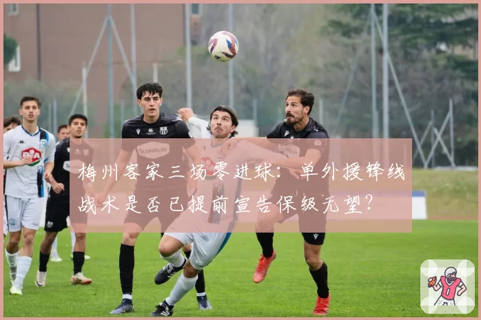 梅州客家三场零进球:单外援锋线战术是否已提前宣告保级无望?